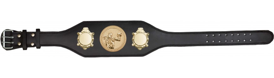 WOMEN'S BOXING CHAMPIONSHIP BELT-BUD003/G/FEMBOXG-4 COLOURS